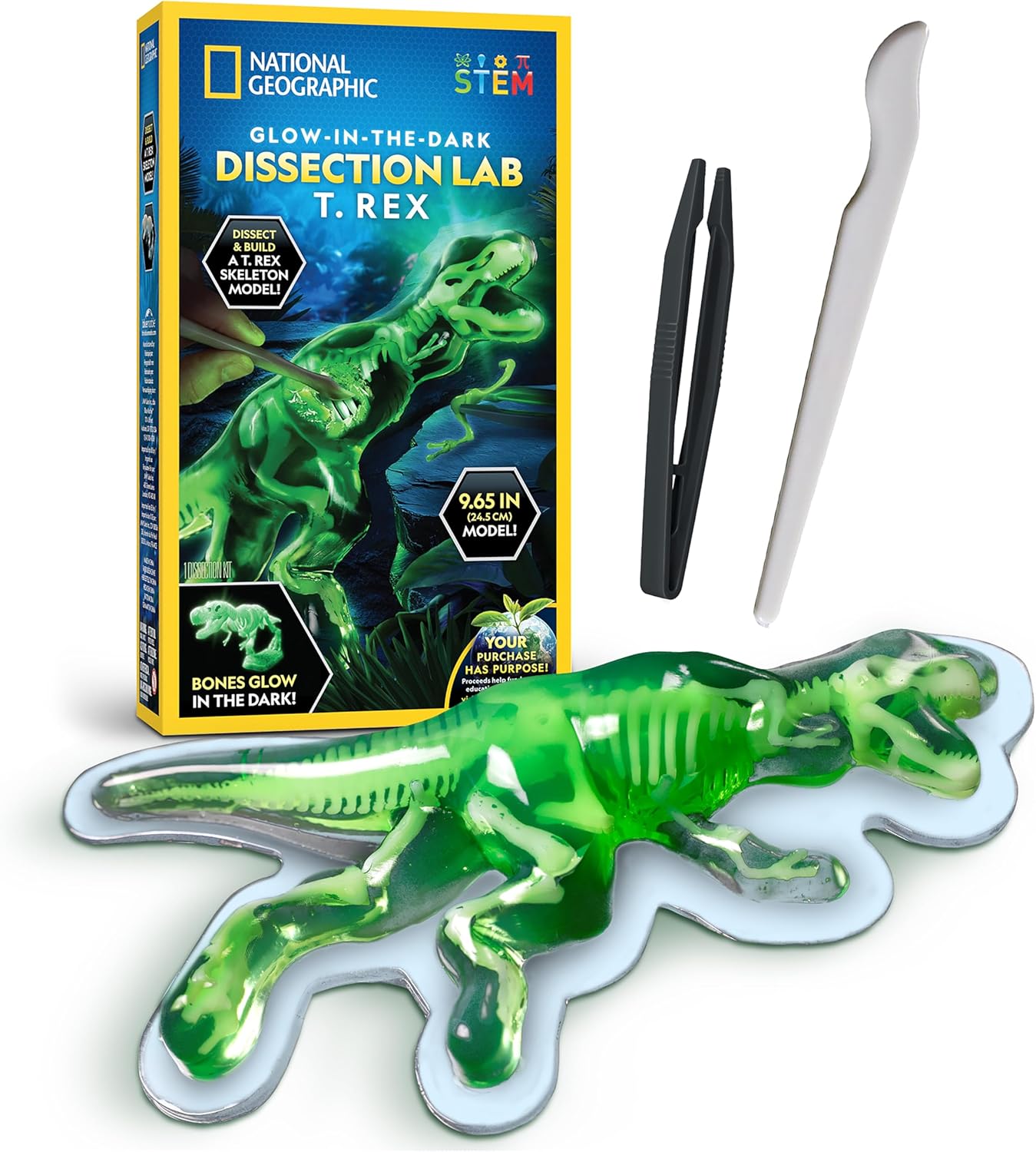 National Geographic T. Rex Dissection Lab - Glow-in-the-Dark Dinosaur Model, 9.5” Skeleton, Includes Refill Pack & Learning Guide