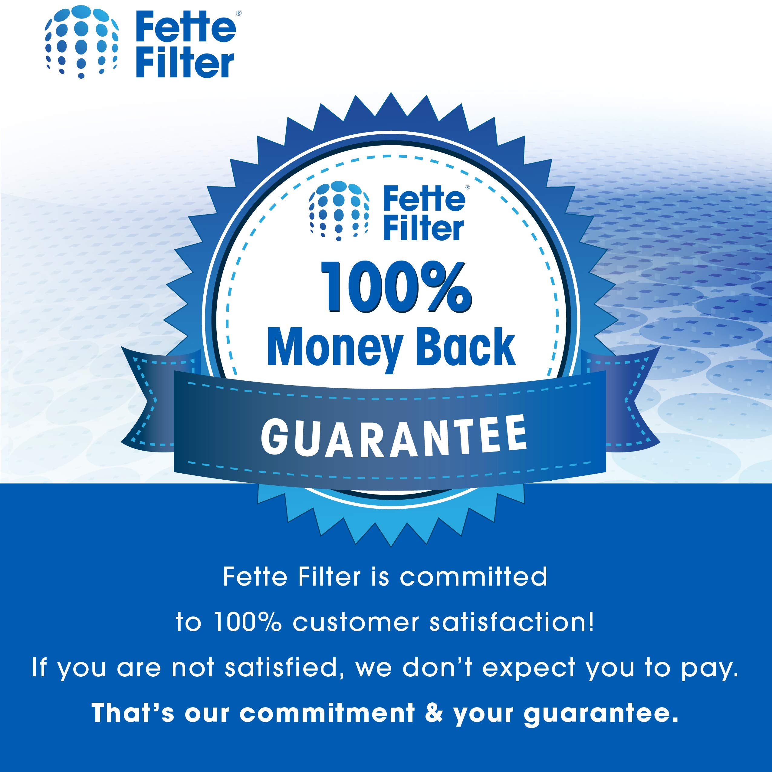 Fette Filter - HEPA Vacuum Air Filter Compatible with Electrolux Guardian LUX Aerus Epic 8000 9000 C134A C134B C134C C134D C134E C134F C154A C154B C154C C154D. Compare to Part # 47404 - Pack of 2