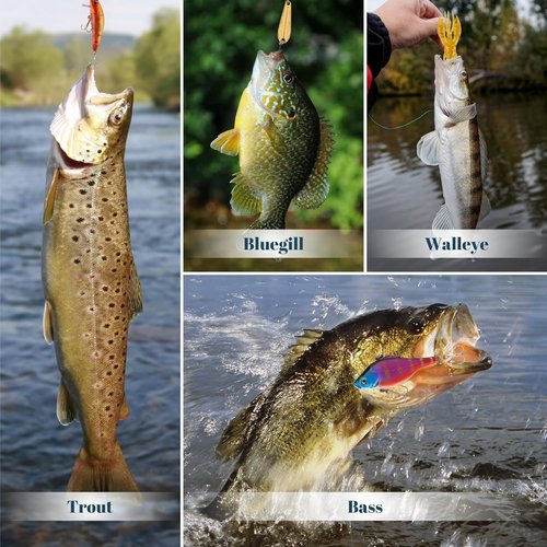 Fishing Advent Calendar 2025 - Lures Kit with Tackle Box | 24-Day Countdown Gift for Men & Boys