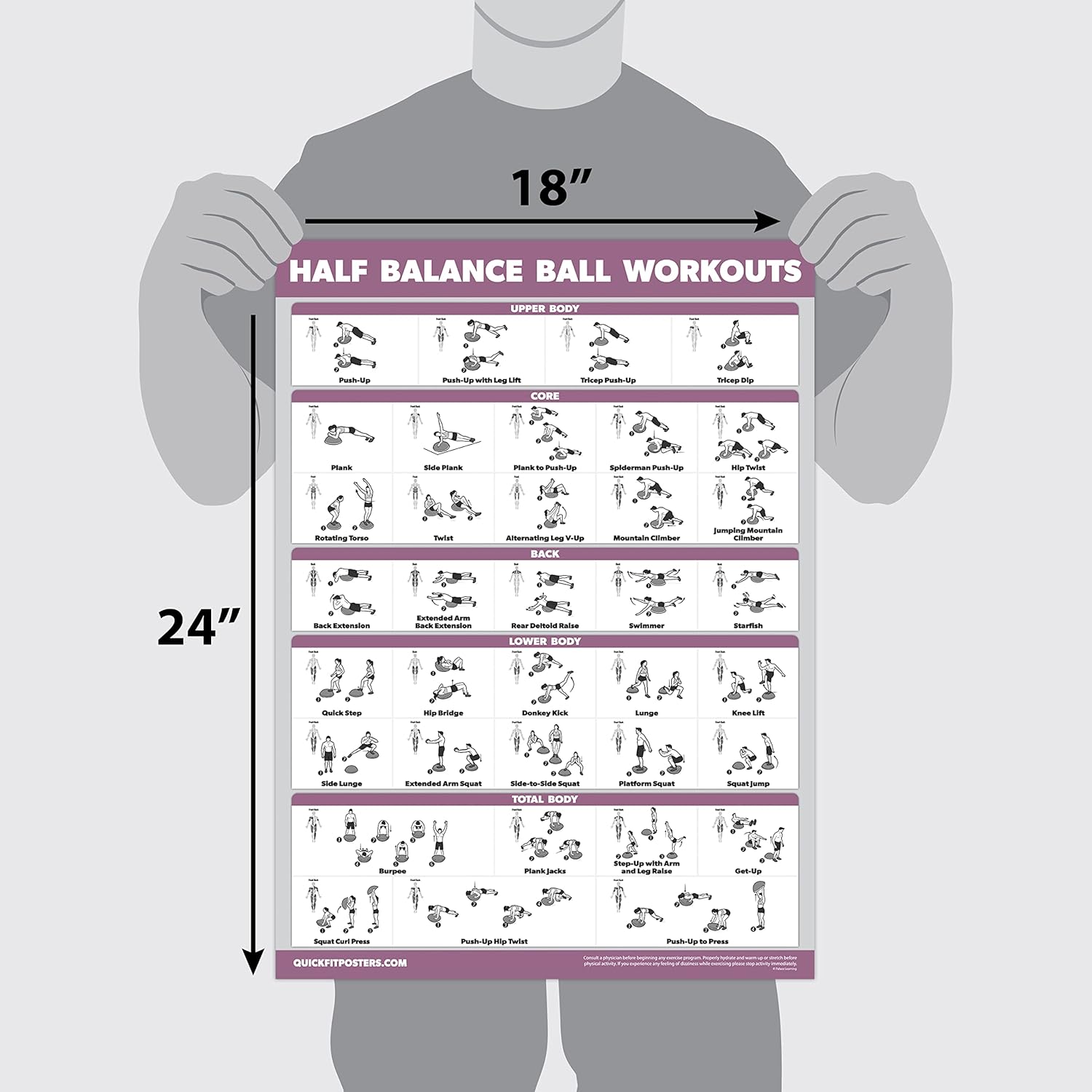 Palace Learning Half Balance Ball Workout Poster - Laminated Exercise Chart (18" x 24")