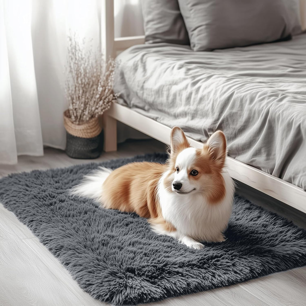 OLANLY Soft Fluffy Shaggy Small Rug - Machine Washable Indoor Carpet for Bedroom & Nursery | Grey 2x2 ft