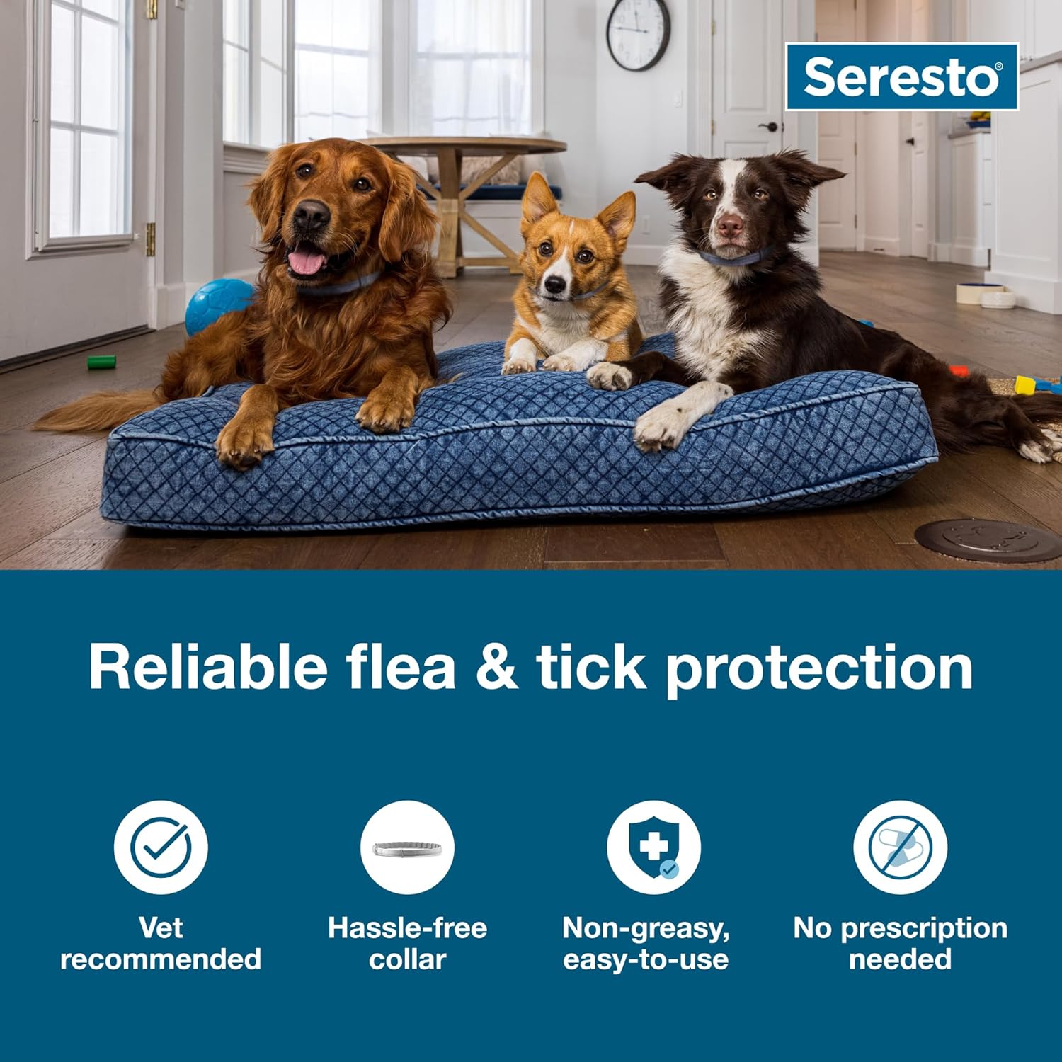 Seresto Large Dog Flea & Tick Prevention Collar - Vet-Recommended for Dogs Over 18 lbs | 2-Pack