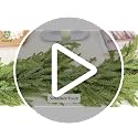 Bellacat 6ft Real Touch Norfolk Pine Garland with Soft Clear Texture Leaves - Green, 2 Pack