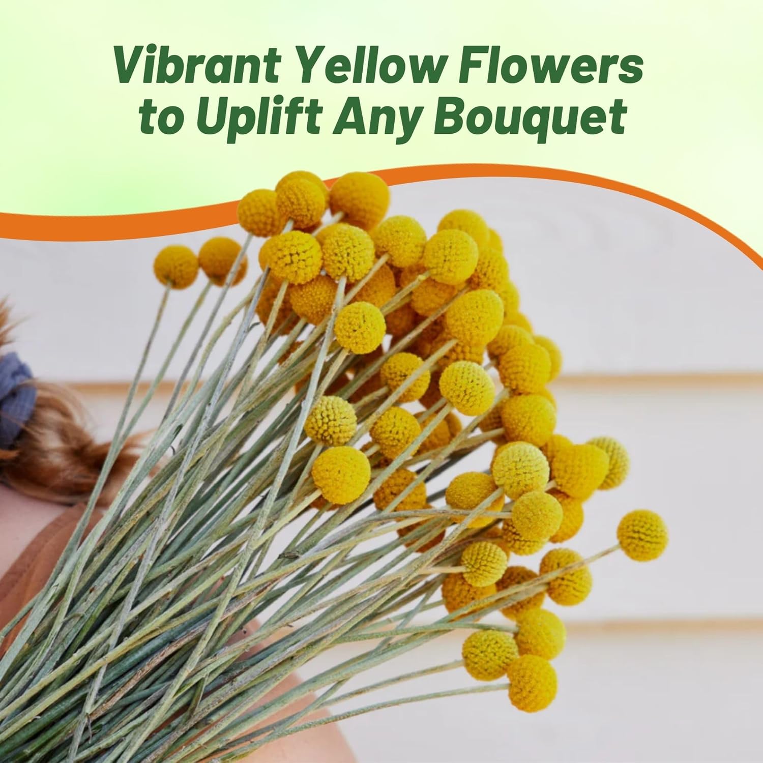 Outsidepride Billy Button Craspedia Globosa Seeds - 1000 Pcs of Hardy, Drought-Tolerant Flower Seeds for Vibrant Yellow Blooms