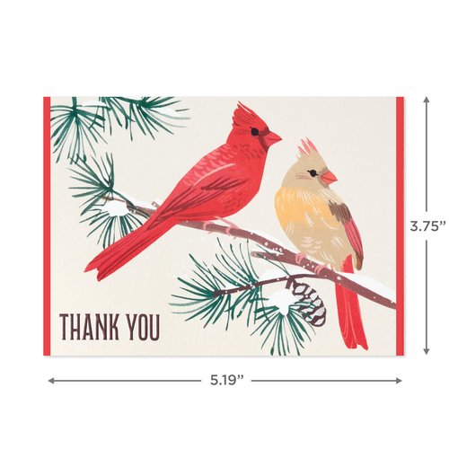 Hallmark Cardinal Thank You Notes (20 Cards with Envelopes) for Christmas, Holidays, Winter