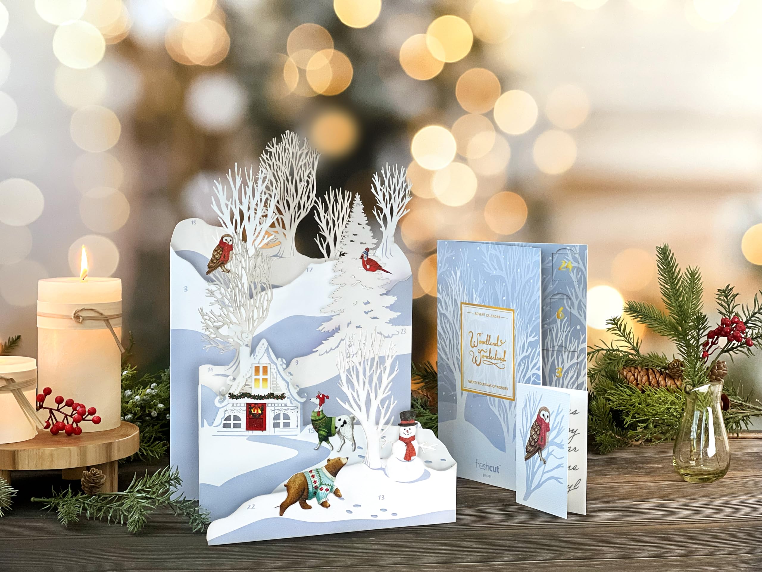 Freshcut Paper 2025 Advent Calendar, Woodland Wonderland, Pop Up 3D Greeting Cards, Paper Advent Calendar, Christmas Gifts, Holiday Cards with Blank Notecard & Envelope