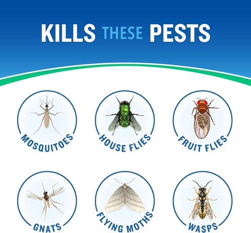 Cutter Essentials Outdoor Fogger - Safe for Kids & Pets | Kills Mosquitoes, Fleas & Ants - 14 fl Oz
