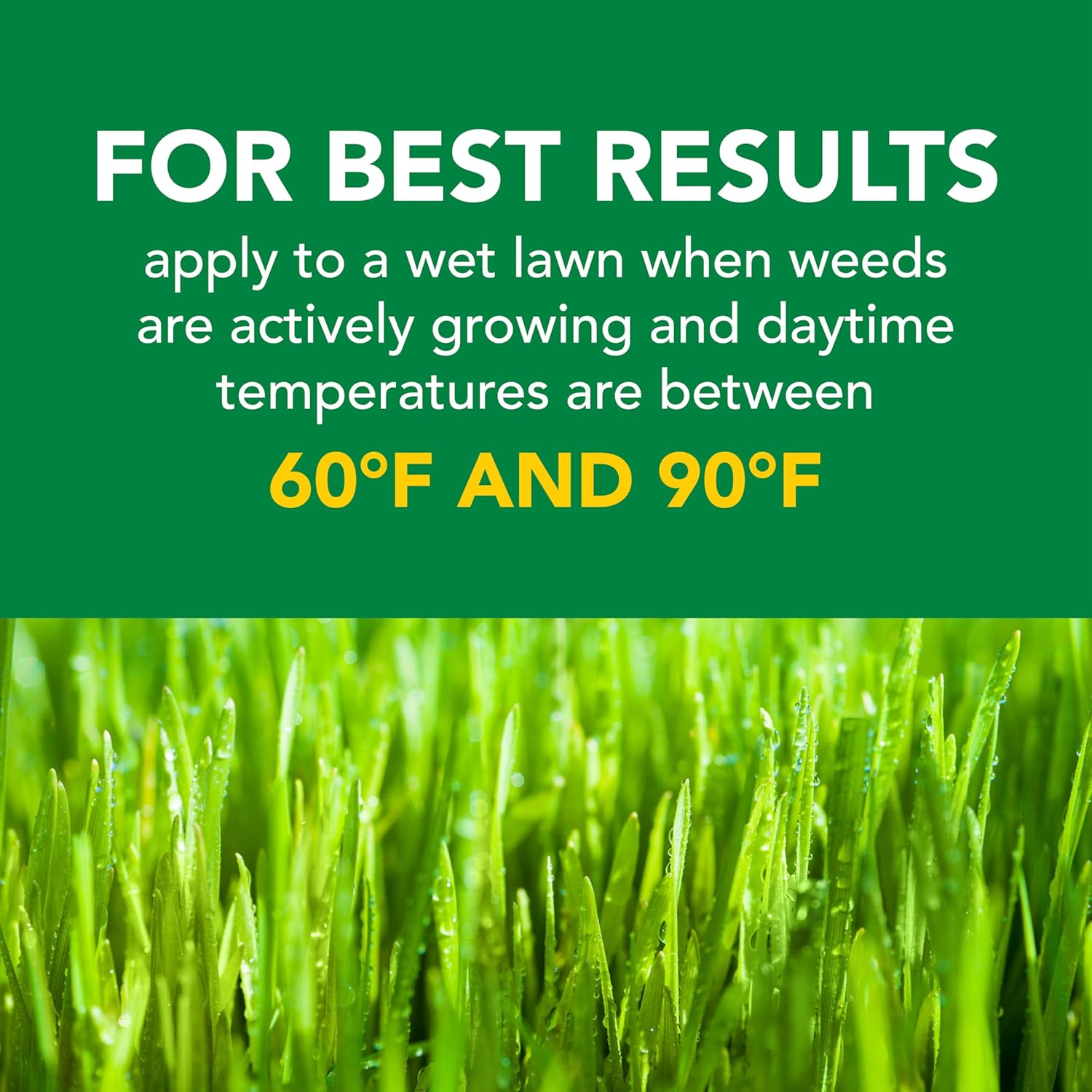Scotts Turf Builder Weed and Feed 5 - Powerful Weed Killer & Lawn Fertilizer for 12,000 sq. ft.