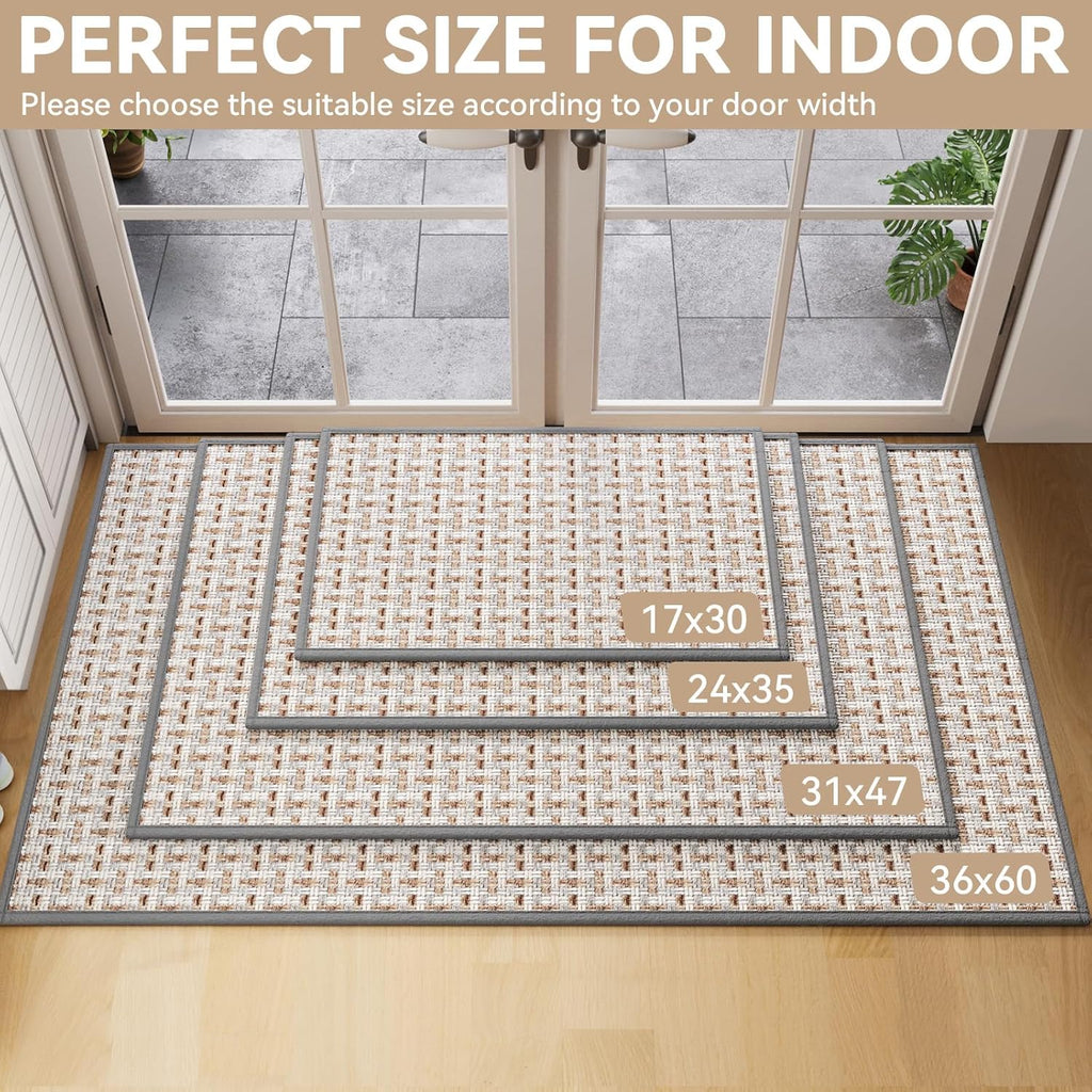 Regine Switzerland Door Mat - Indoor Entrance Dirt Resistant & Absorbent | 17"x30" Gray Non-Slip Design