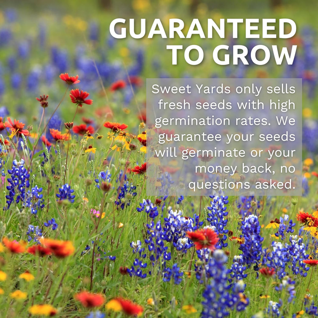 Pacific Northwest Regional Mix | Large 1 Ounce Packet of 24,000 Wildflower Seeds for Planting