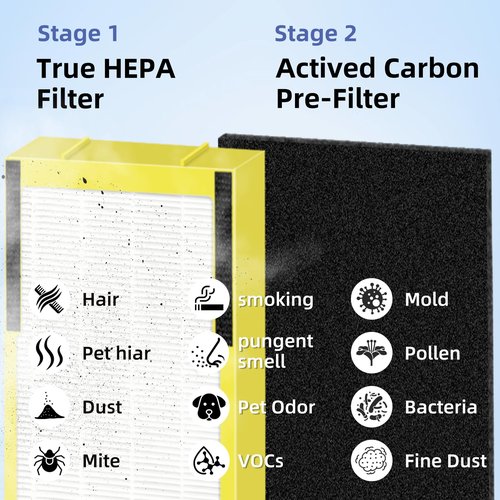Pulluty FLT5000 Replacement Filter C for Germ-Guardian Air Purifier AC5000 AC5000E AC5250PT AC5350B AC5350BCA AC5350W AC5300B,2 True H13 HEPA Filters+8 Activated Carbon Pre-Filters