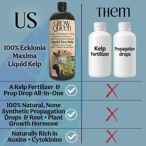 Ecklonia Maxima Organic Liquid Kelp & Seaweed Extract - Root Growth Hormone for Hydroponics & Soil | 8oz