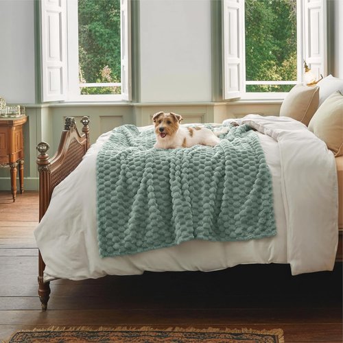 Bedsure Twin Blanket - 350GSM Fluffy Plush Bubble Blanket | Soft Cozy Fleece in Sage Green, 60x80 Inches