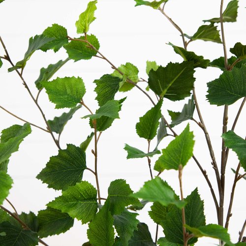 Nearly Natural 4ft. Artificial Birch Tree with Real Touch Leaves