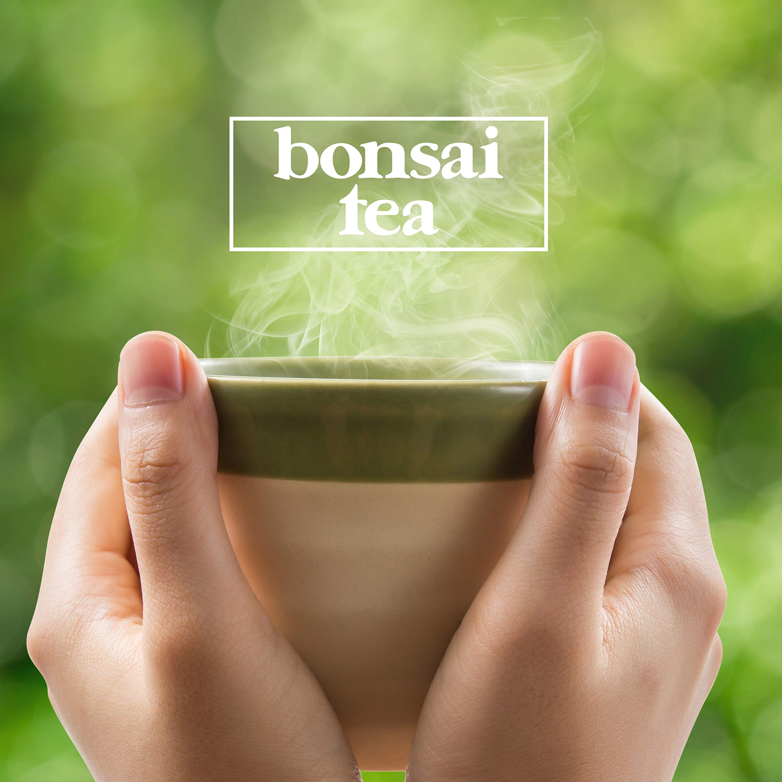 Bonsai Tea Co. Chai Spice, Compatible with K Cup Brewers Including 2.0, 100 Count