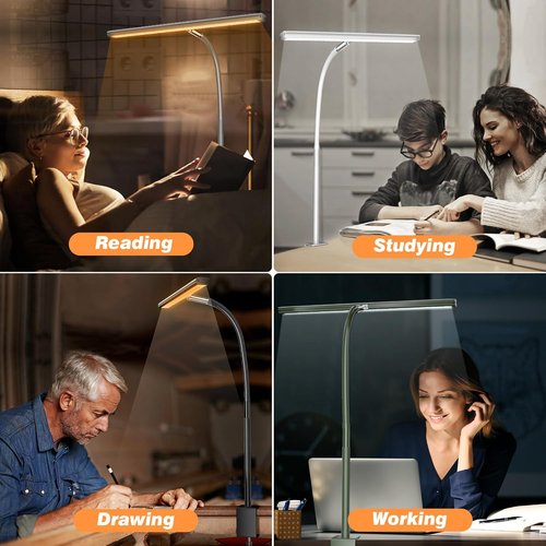 Airlonv LED Desk Lamp - Eye-Caring Adjustable Gooseneck Light with Stepless Dimming | 10W USB Clamp Lamp (Black)