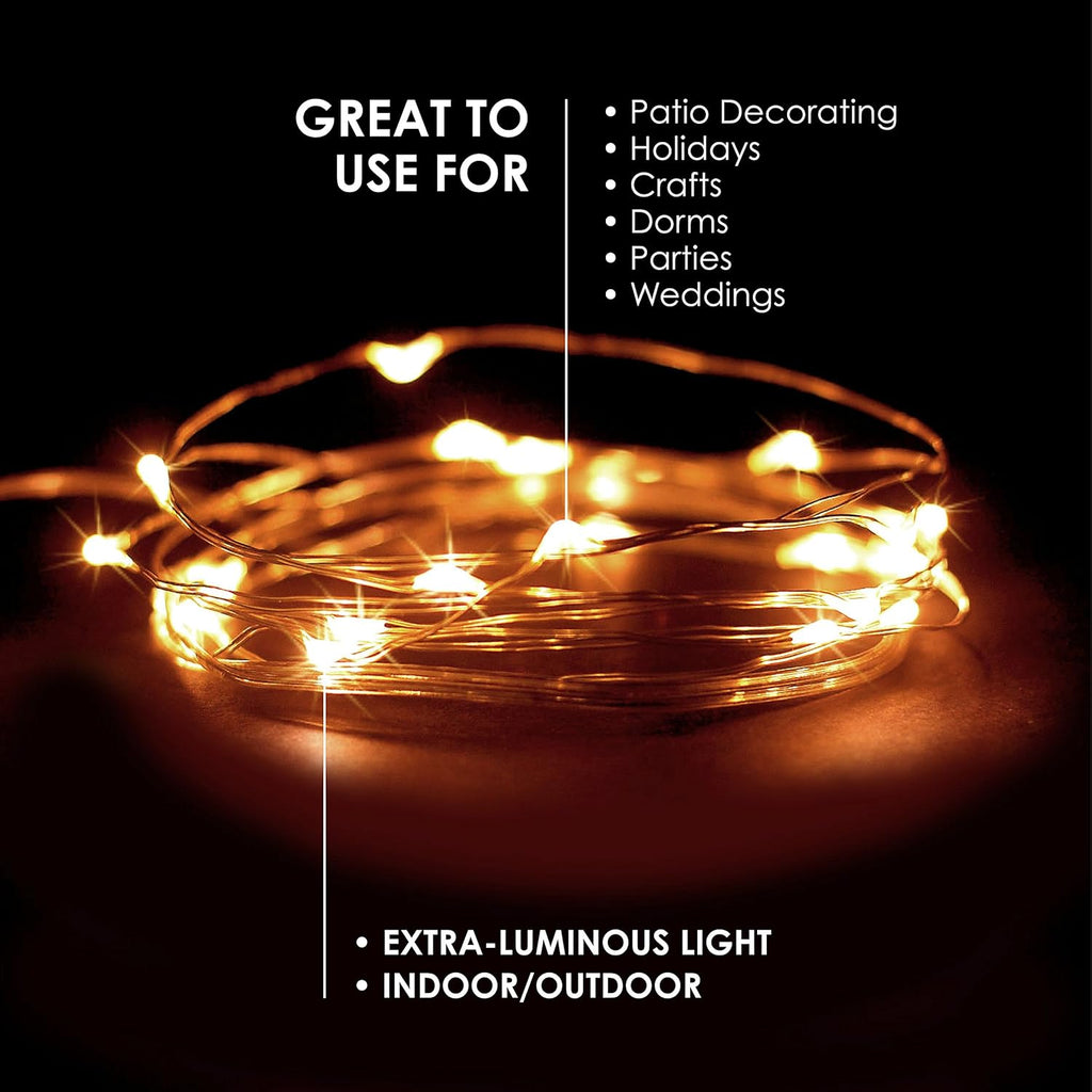 Skiennix 20 LEDs Warm White String Lights - 6.5 Feet Silver Wire, Battery Powered Fairy Lights for Indoor/Outdoor Decor
