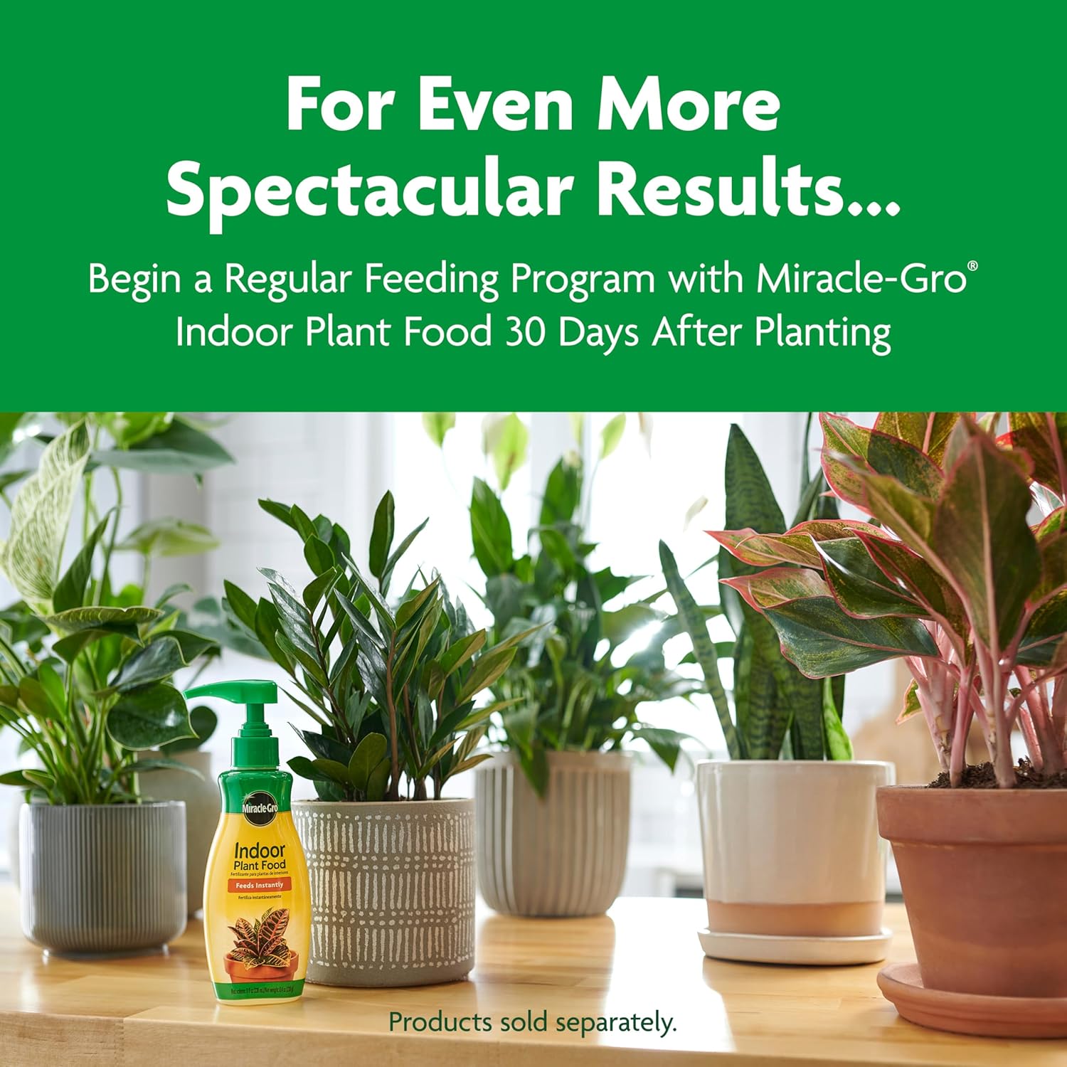 Miracle-Gro Indoor Potting Mix - Perfect Blend for Houseplants | Feeds for 6 Months, 6 qt., 2-Pack
