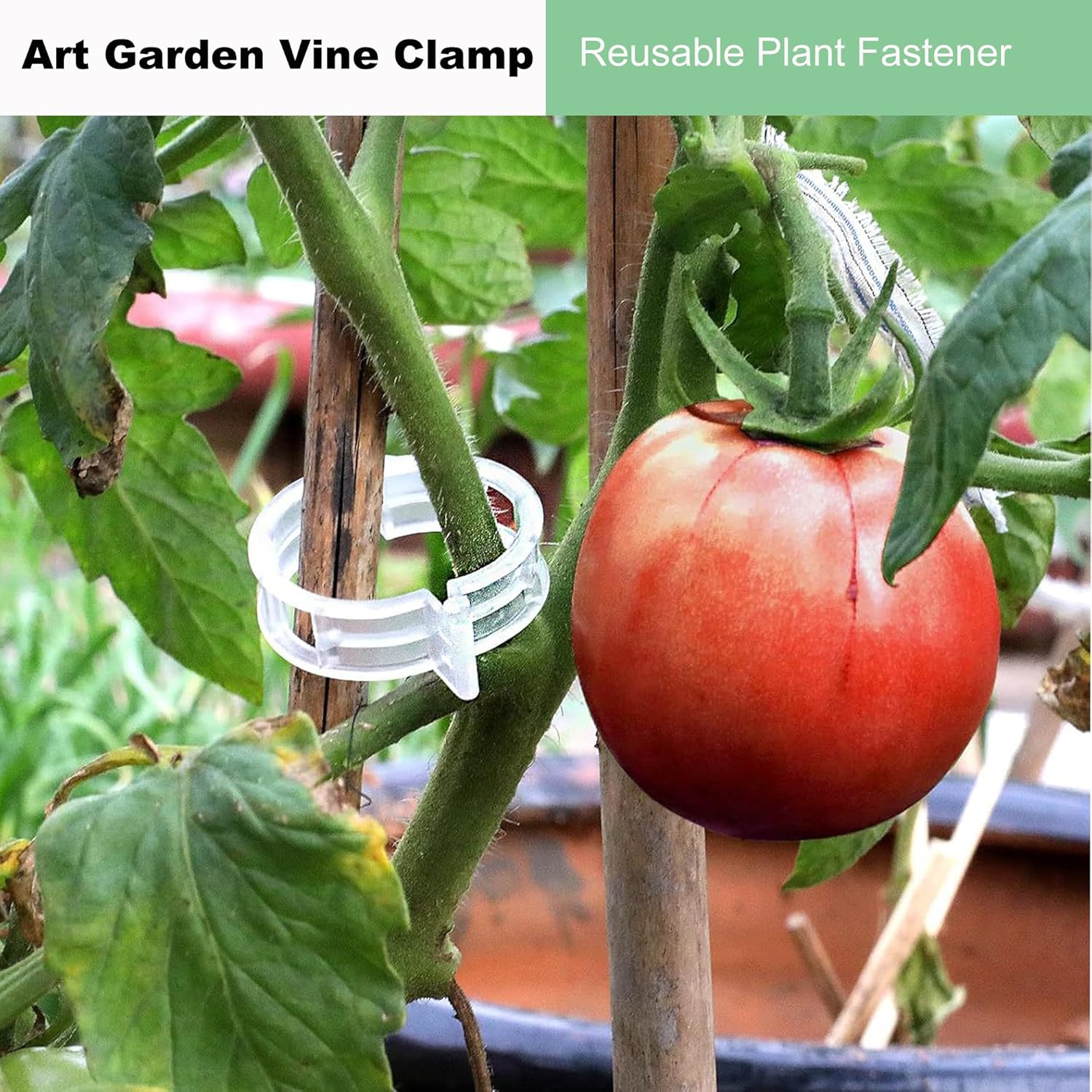 Skiennix 100 Pcs Plant Clips - Durable Adjustable Support for Climbing Plants, Tomatoes & Vegetables