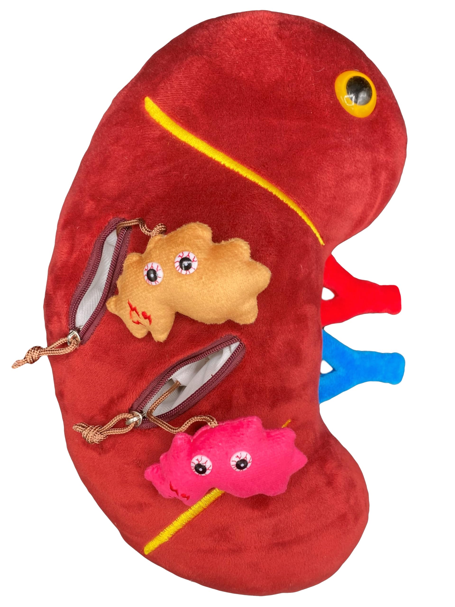 GIANTmicrobes Deluxe 12" Kidney Plush with Kidney Stones, Kidney Stuffed Animal, Kidney Transplant Gifts, Kidney Donor Gifts, Kidney Pillow, Urology Gifts, Nephrology Gifts, Dialysis Nurse Gifts