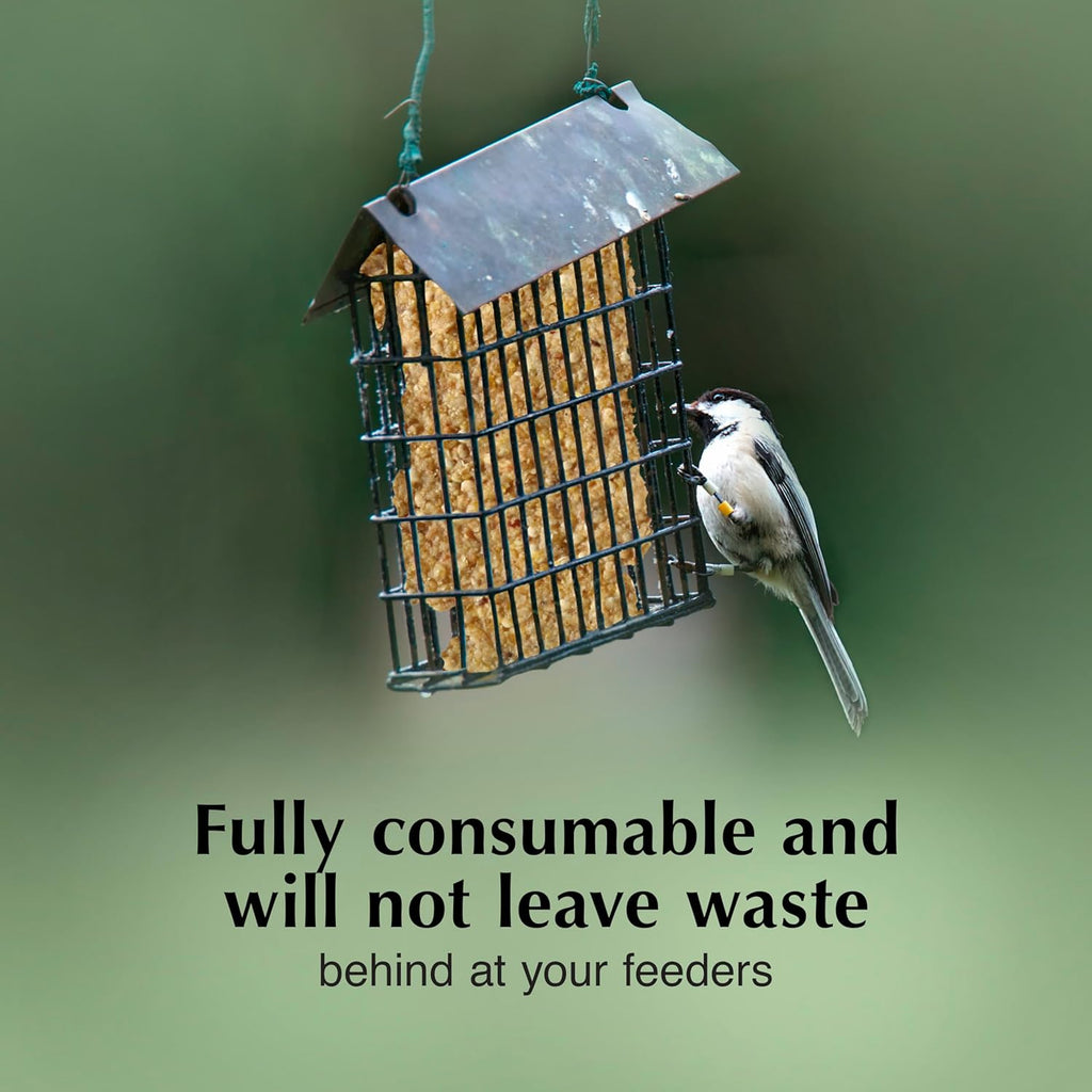 C&S Pecan Delight Suet Cakes - No Melt Formula for Wild Birds | 11.75 Ounces, Pack of 8