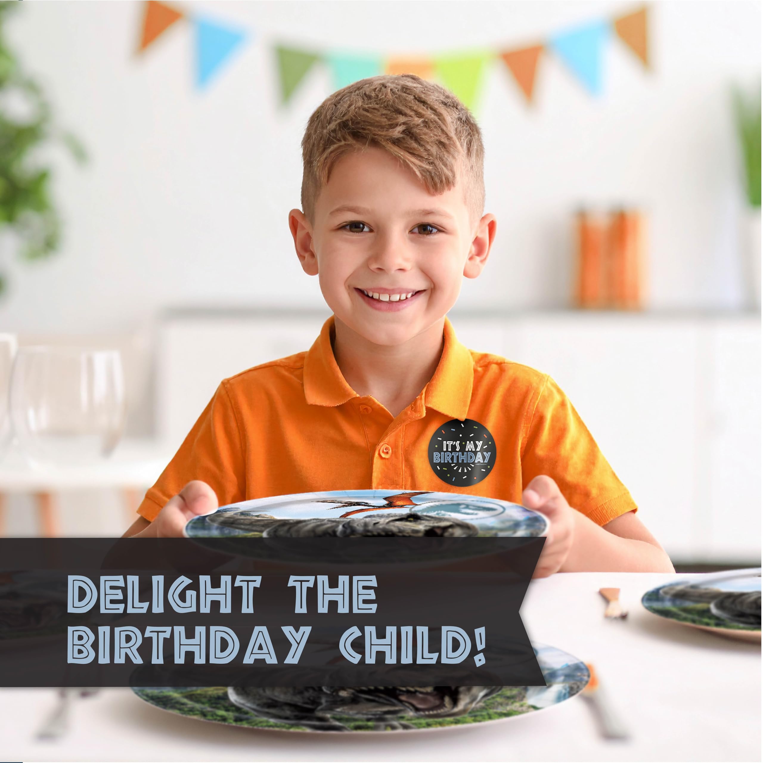 Jurassic World Plates and Napkins for 16 | Jurassic Park Birthday Decorations | Officially Licensed