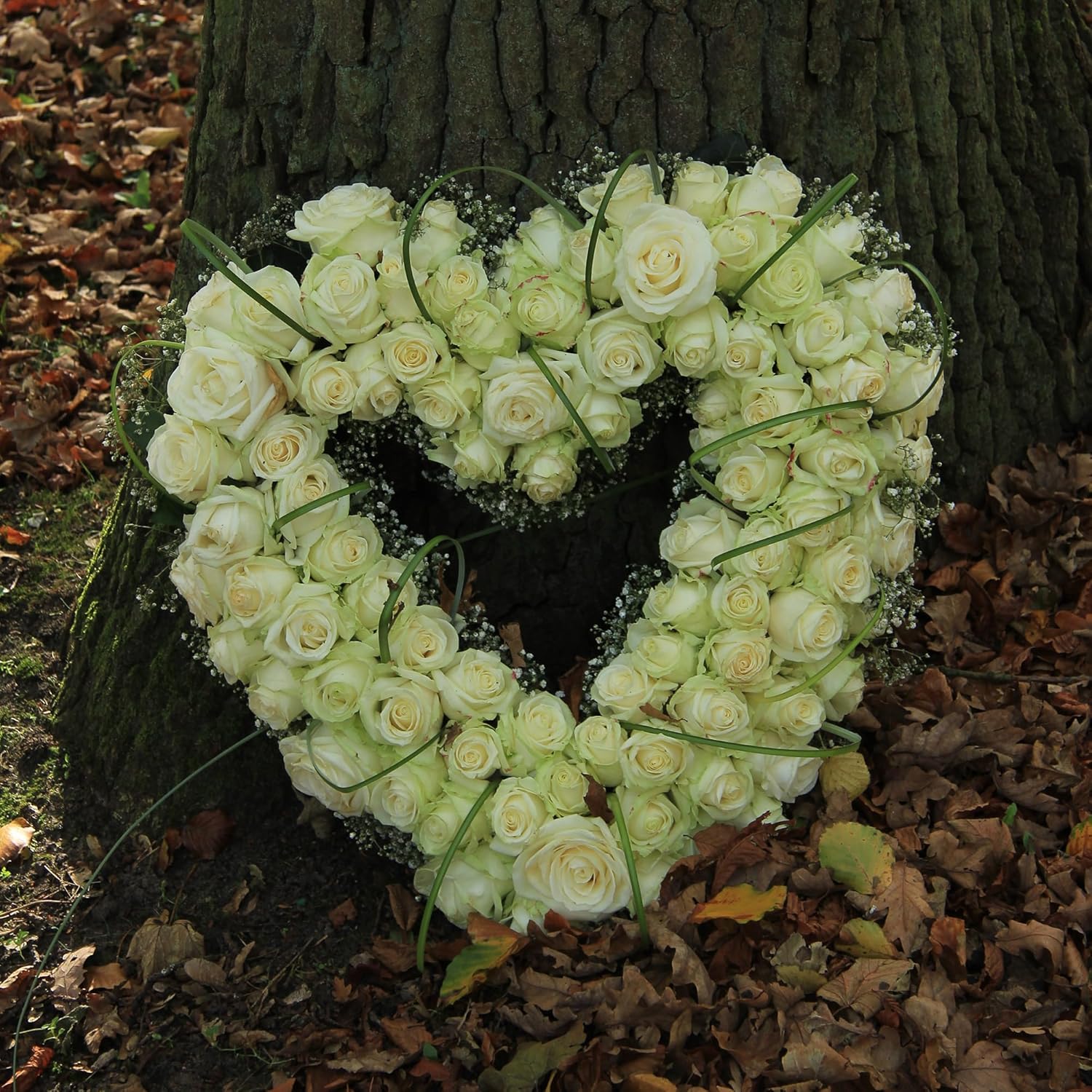 Skiennix Heart Floral Foam Cage - Ideal for Fresh Flowers | Includes Wet Foam Blocks & Suction Cup