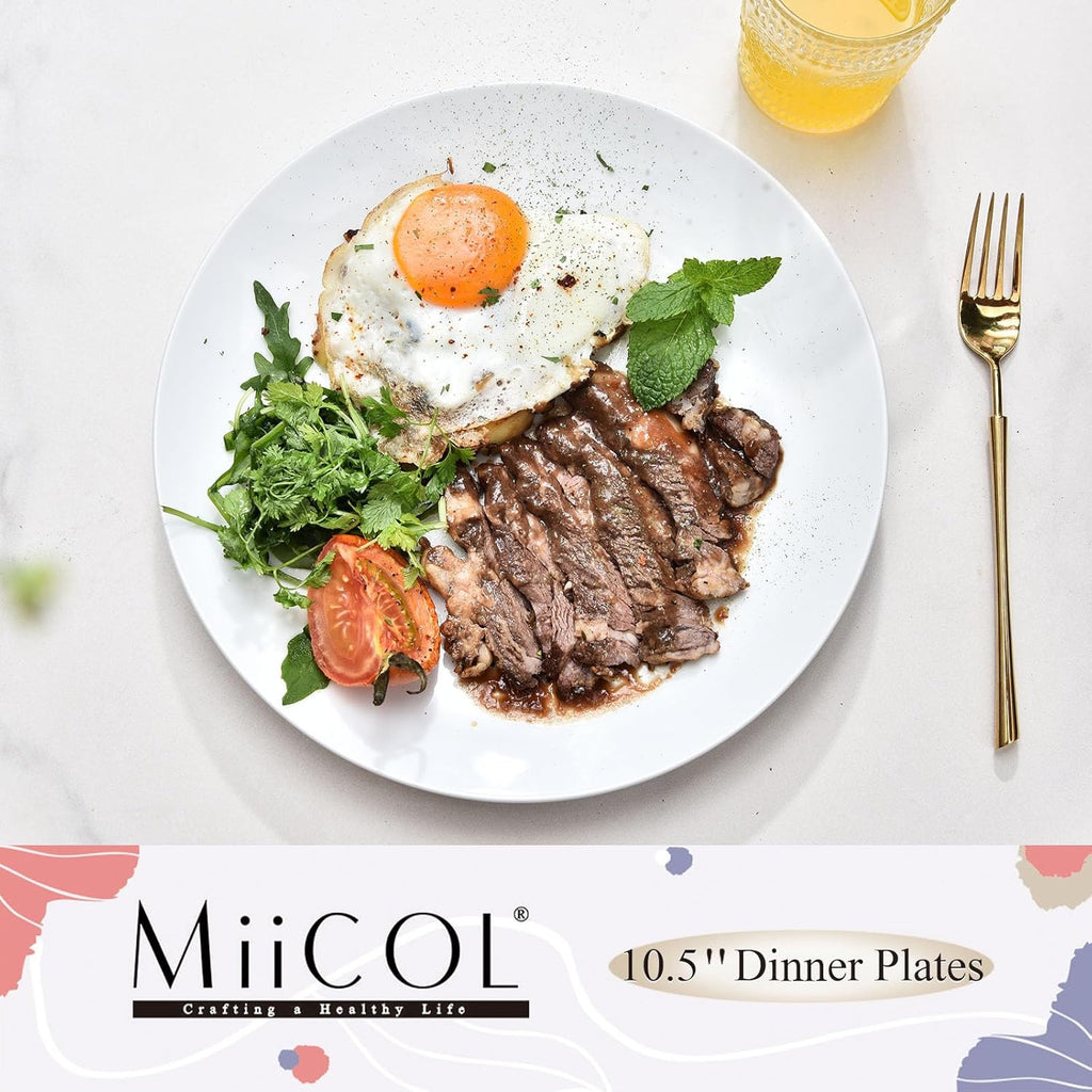 Miicol Ceramic Dinner Plates Set of 4 - Large 10.5-Inch White Porcelain Serving Dishes | Microwave & Dishwasher Safe