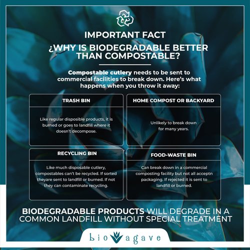 BIO AGAVE Biodegradable 8.25" x 8mm JUMBO Straws Agave 1650 Pcs | Plant Based Eco Friendly Products | Drinking Straws | Drinking Straws | Straws & Reusable straws | Plastic-Free | No PFAs