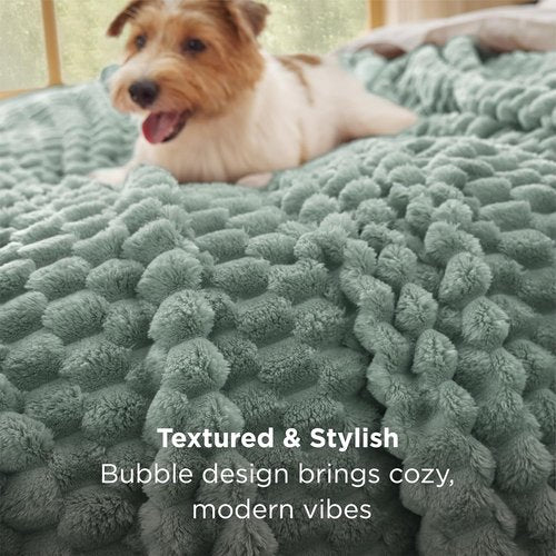 Bedsure Queen Size Blanket - 350GSM Fluffy Plush Fleece for Cozy Home Decor | Sage Green, 90x90 Inches
