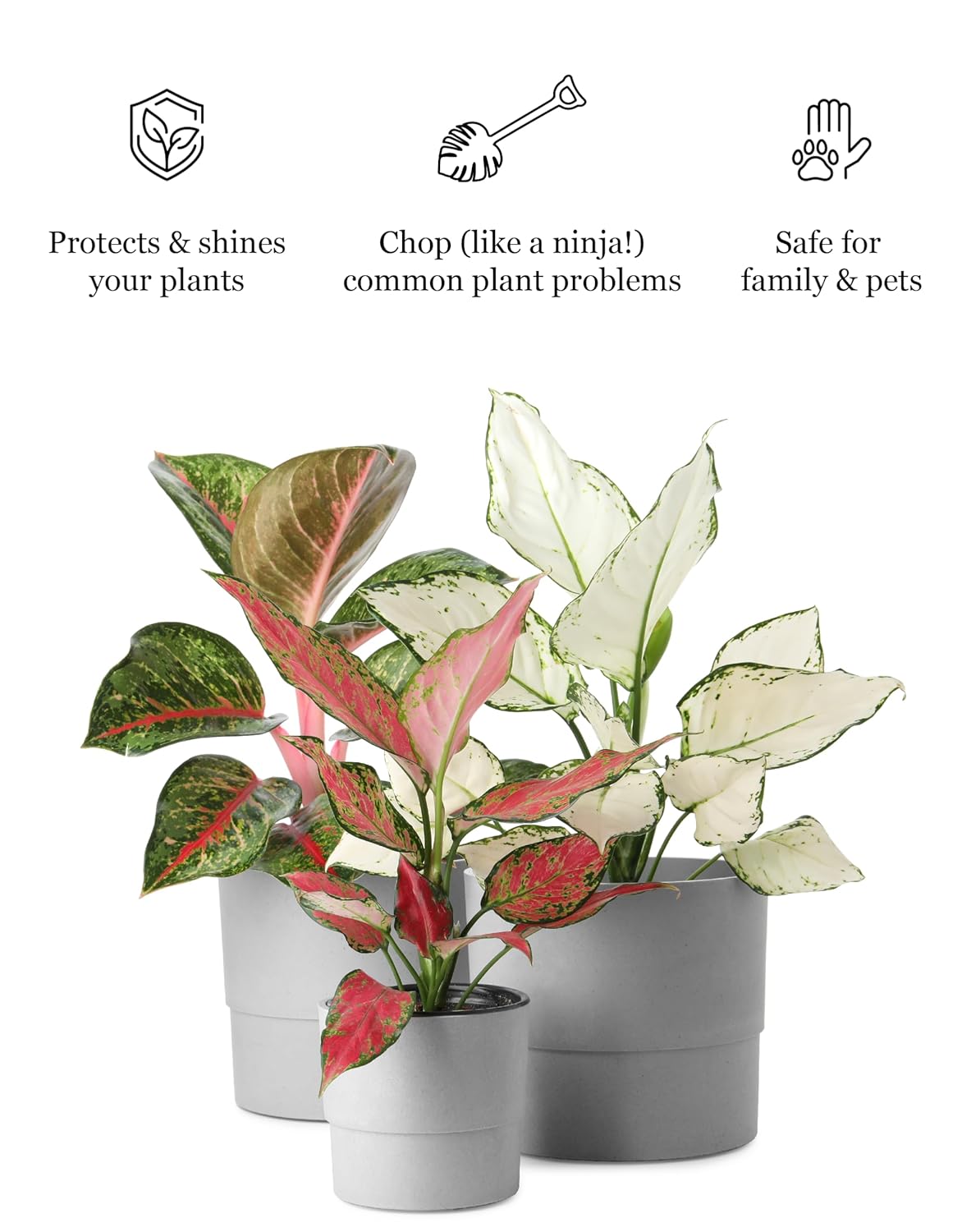 Plant & Leaf Spray - Non-Toxic Leaf Shine & Protector | Eco-Friendly Formula for Indoor Plants | Handcrafted & Women-Owned