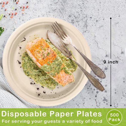 GREENESAGE 500 Pack Paper Plates 9 inch Bulk, 100% Compostable Disposable Plates Eco Friendly Recycled Heavy Duty, Brown