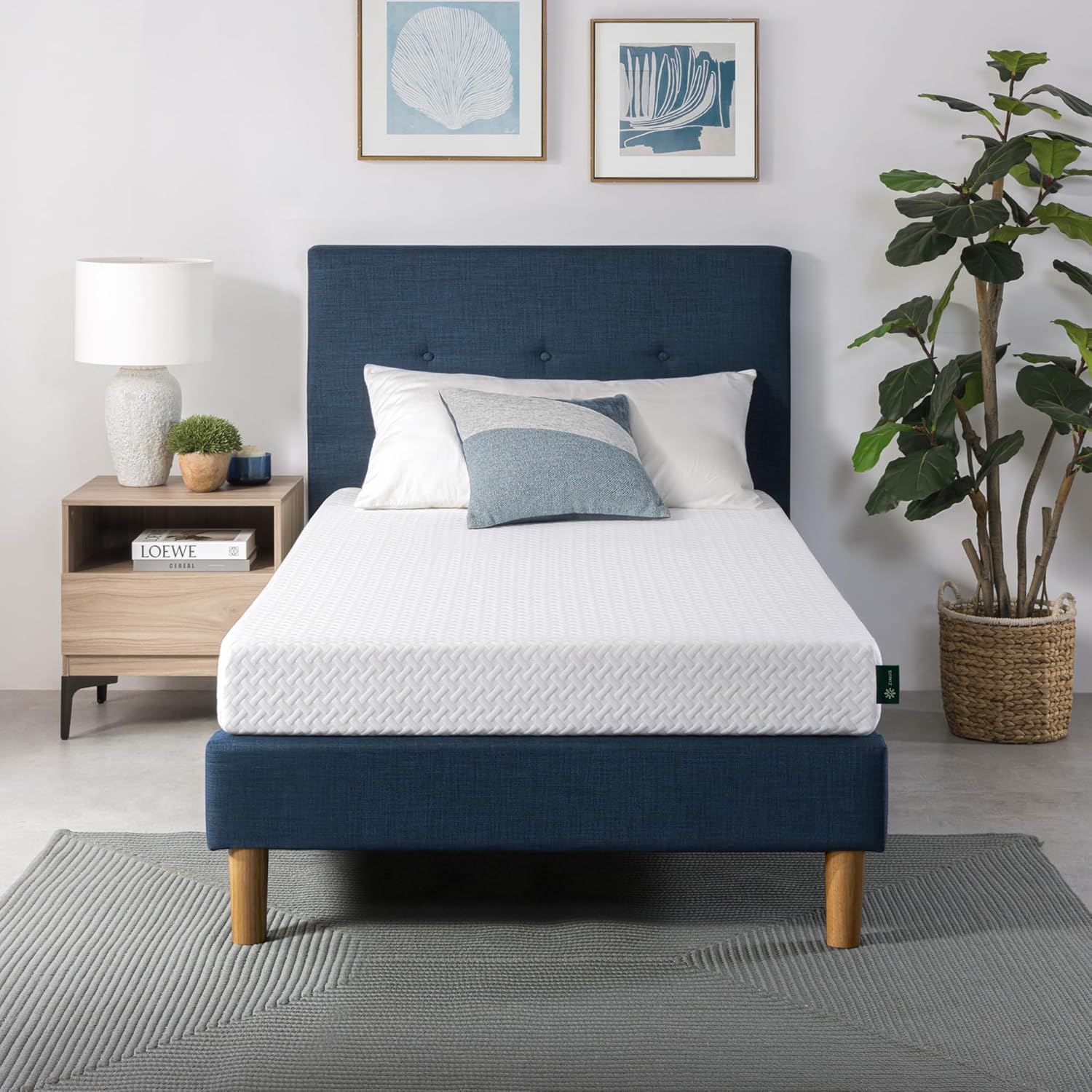 ZINUS 6 Inch Twin Memory Foam Mattress - Cooling Essential Design, Fiberglass Free, Medium Feel