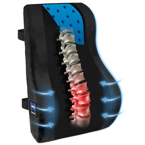 Sealy High Back Memory Foam Lumbar Support Pillow for Office Chair or Gaming Chair, Orthopedic Back Pillow for Car Seat, Black