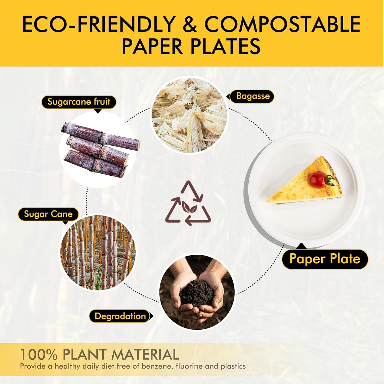 RACETOP Compostable 6-Inch Paper Plates - Biodegradable Heavy-Duty Dessert Plates | 100-Pack, Unbleached White