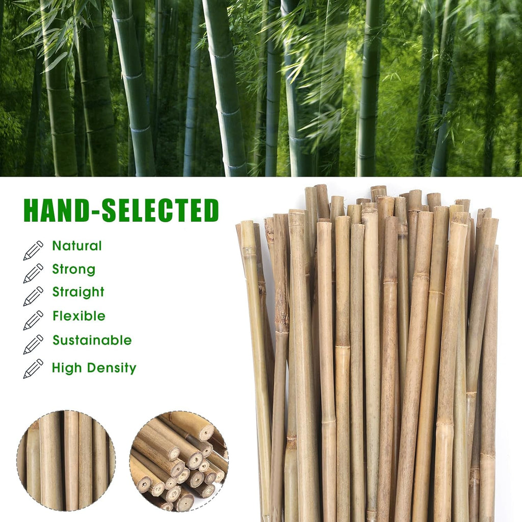 Bamboo Garden Stakes - 4 Feet Plant Support for Tomatoes, Beans, and Climbing Plants | 65 Pcs Set