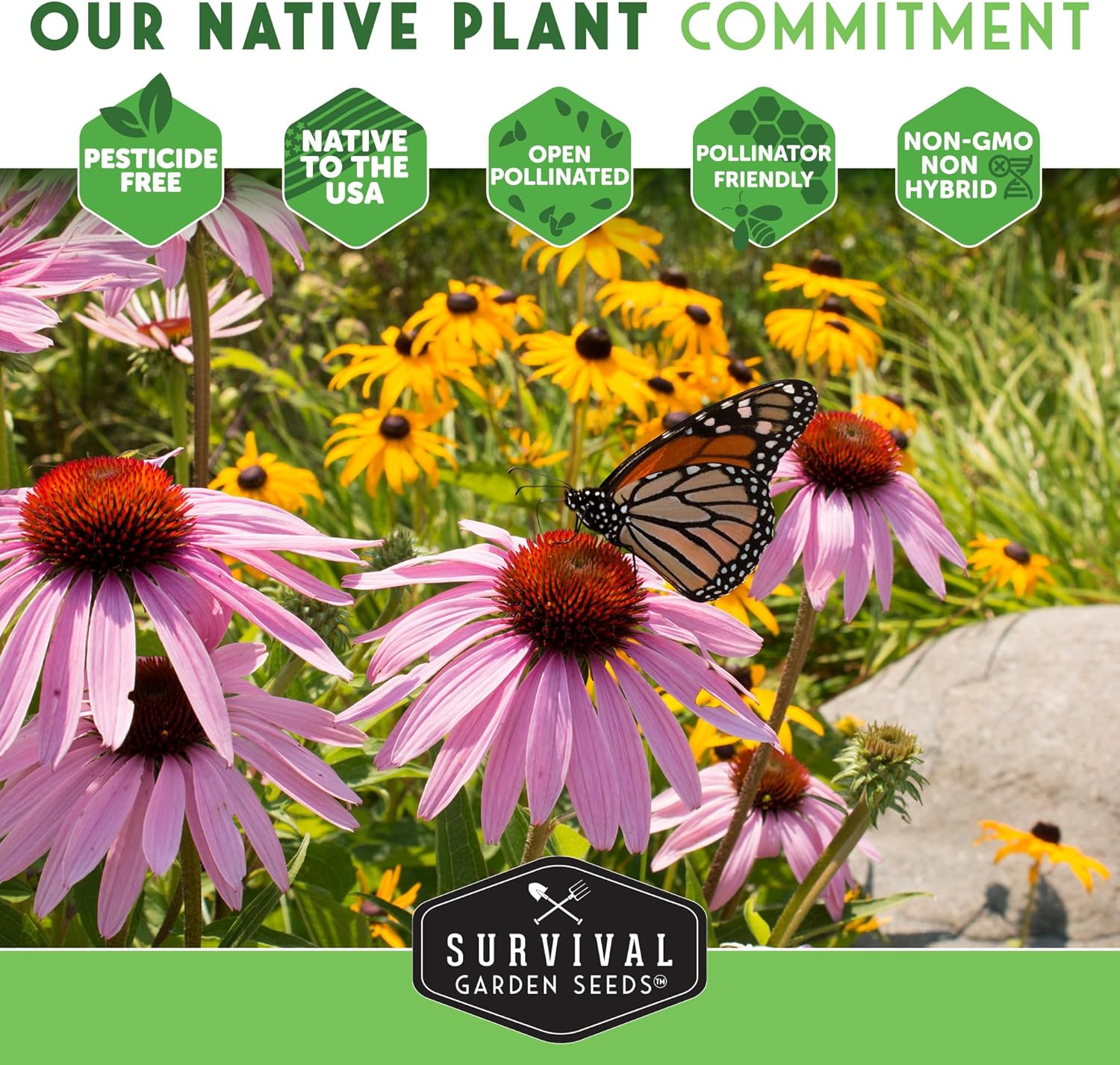 Native Wildflower Seeds | 24 Variety Pack for Butterfly & Bee-Friendly Gardens - Non-GMO Heirloom