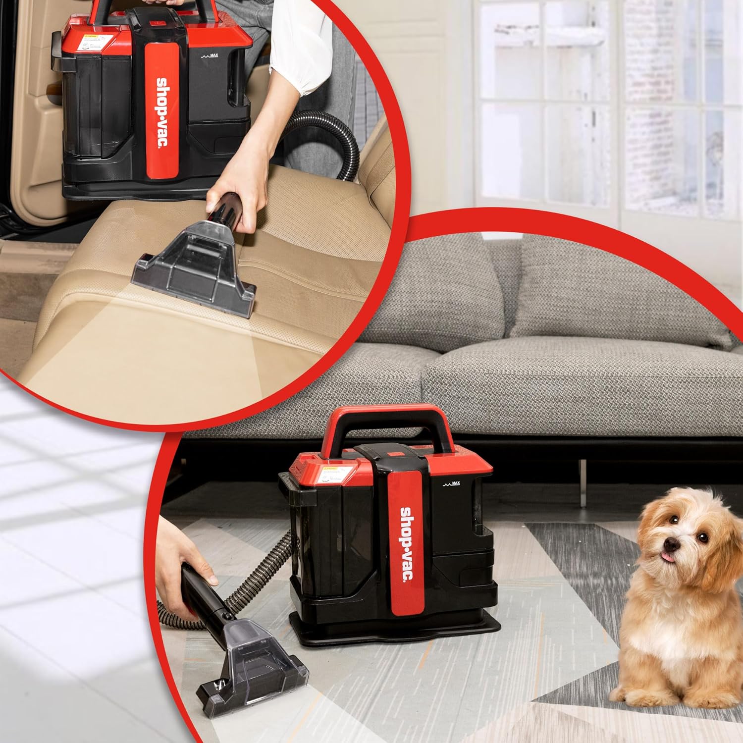 Shop-Vac Portable Carpet Cleaner - Powerful Spot Cleaner for Pet Stains | Lightweight & Versatile for Sofa, Rugs, Mattresses, and Car Seats