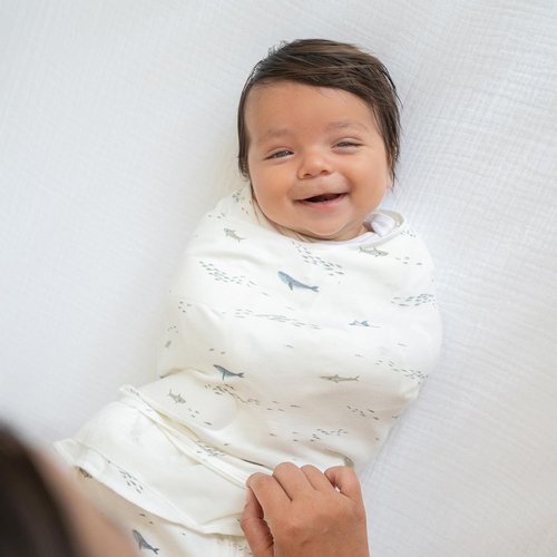 HALO 100% Cotton Sleepsack Swaddle - 3-Way Adjustable Wearable Blanket, TOG 1.5, Ocean Life, Small (3-6 Months)