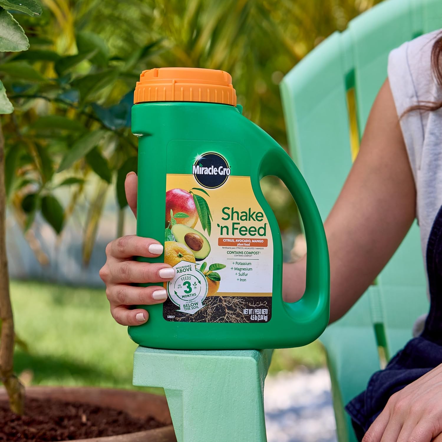 Miracle-Gro Shake 'N Feed Plant Food - Nourishes Citrus, Avocado & Mango Trees | 4.5 lbs
