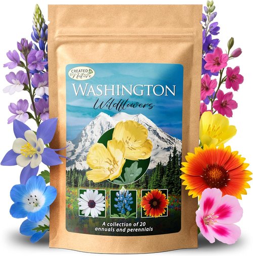 Created By Nature Wildflower Seed Mix - 60,000+ Seeds with 20 Flower Varieties for Vibrant Gardens