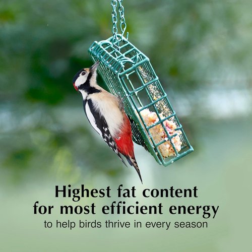 C&S Peanut Butter Delight Suet Dough - No Melt, 11.75 Ounces | 12 Pack for Wild Birds