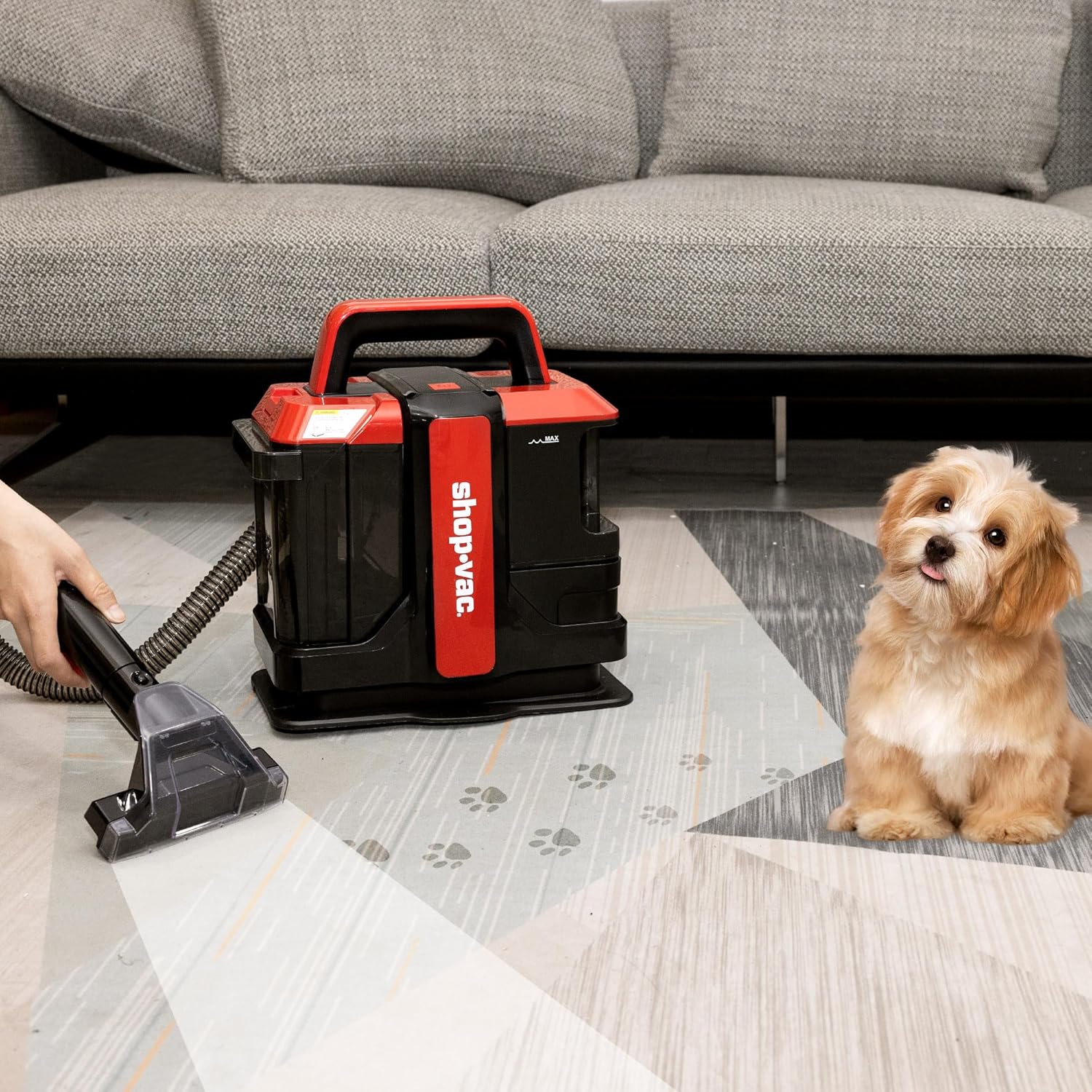 Shop-Vac Portable Carpet Cleaner - Powerful Spot Cleaner for Pet Stains | Lightweight & Versatile for Sofa, Rugs, Mattresses, and Car Seats