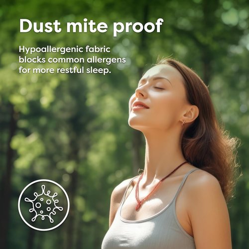 HOSPITOLOGY PRODUCTS Pillow Encasement - Hypoallergenic Bed Bug & Dust Mite Proof - Standard Size, Set of 2 - 20" H x 26" W