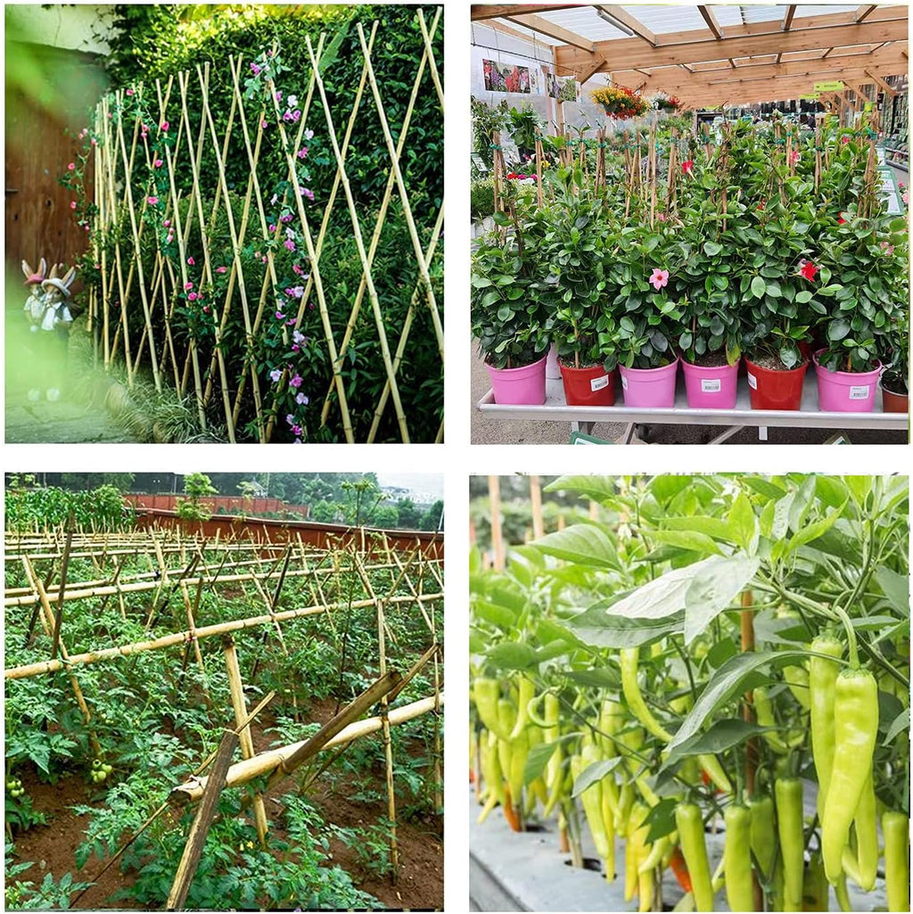 Cambaverd Bamboo Stakes - 4ft Natural Plant Support for Tomatoes & Climbing Plants | 25 Pack