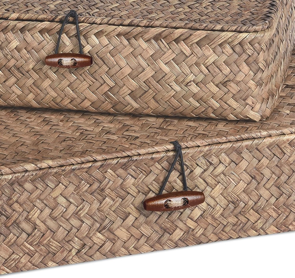 Seagrass Storage Bins Set of 2 - Woven Organizing Baskets with Lids for Home & Office (Coffee)