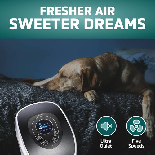 GermGuardian 5-In-1 HEPA Air Purifier - Large Room Coverage Up to 915 Sq. Ft. | UV-C Light & Pet Filter, Gray