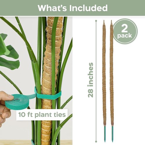 K-Brands 3 Pack Bendable Moss Pole | 48'' & 28'' Monstera Plant Support for Indoor Climbing Plants