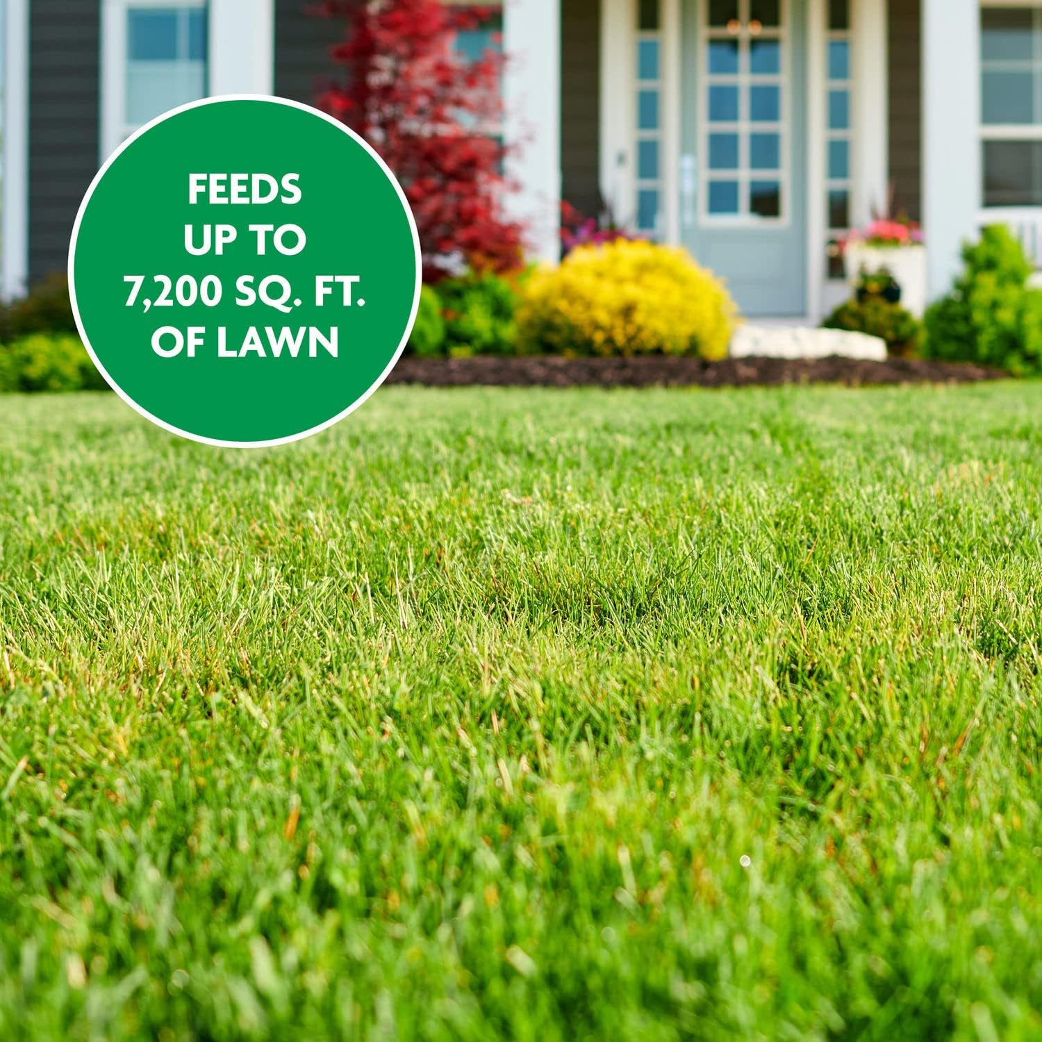 Miracle-Gro Water Soluble Lawn Food - All Grass Fertilizer Feeds Up to 7,200 Sq. Ft.