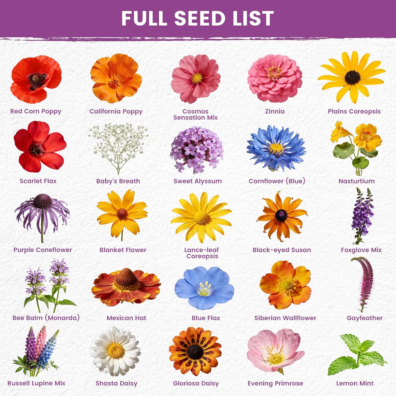Wildflower Seeds Bulk Mix - 10,000+ Non-GMO Perennial & Annual Seeds for Hummingbirds | Texas, California & Florida Native Varieties